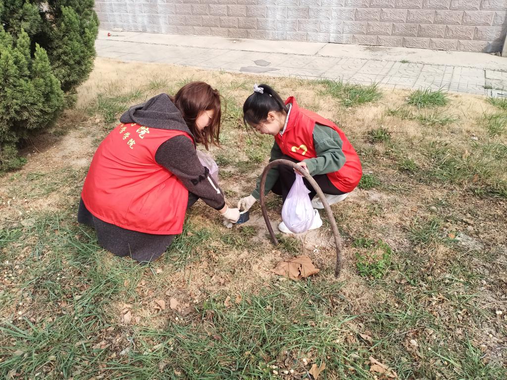 BB电子游戏官网
