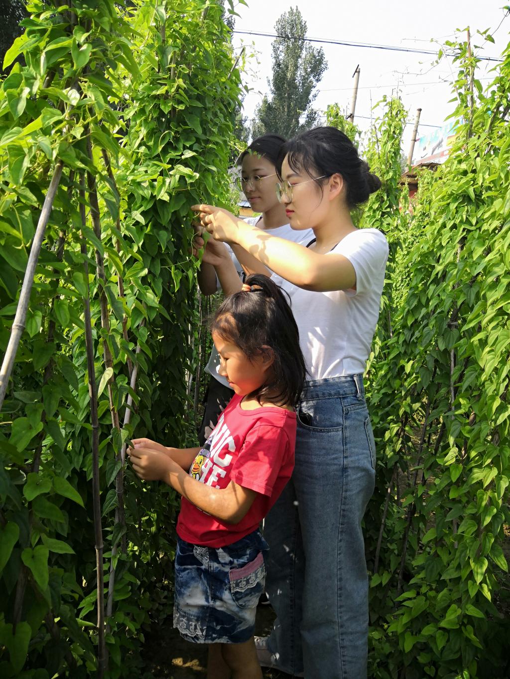 BB电子游戏官网