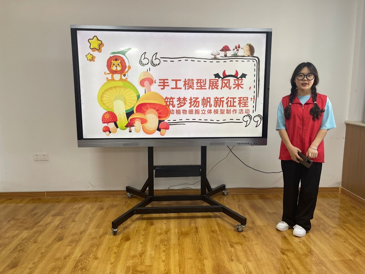 BB电子游戏官网