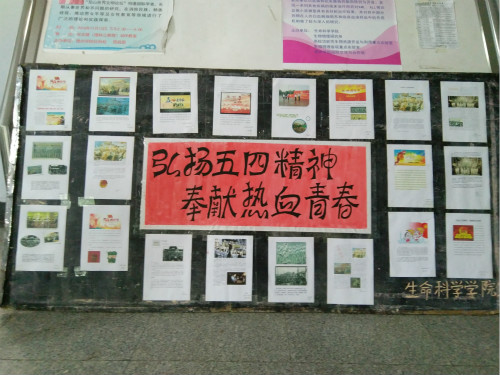 BB电子游戏官网