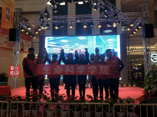 BB电子游戏官网