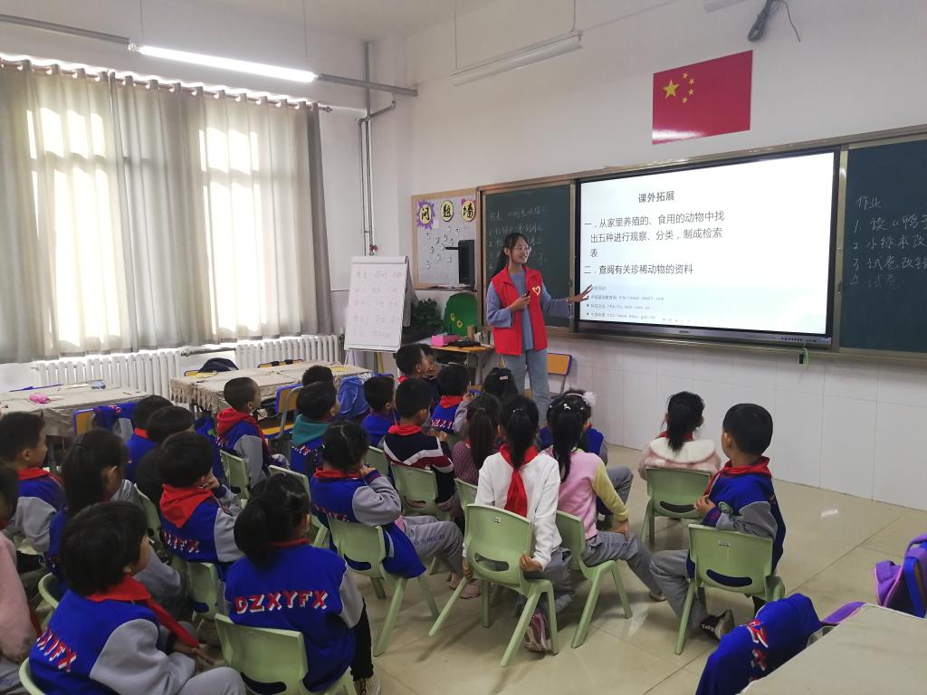 BB电子游戏官网