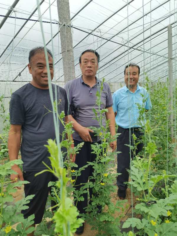 BB电子游戏官网