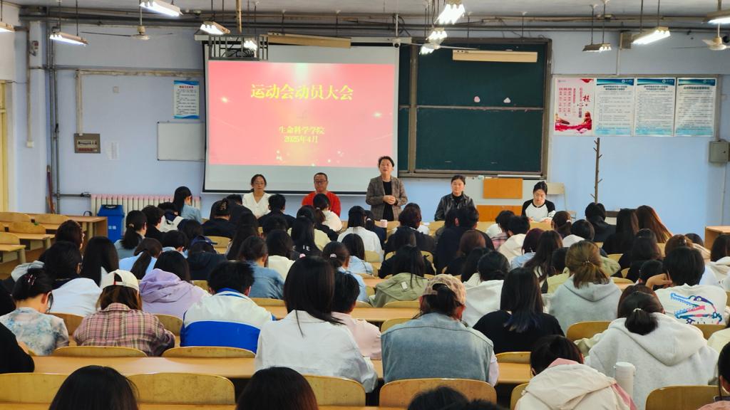 BB电子游戏官网