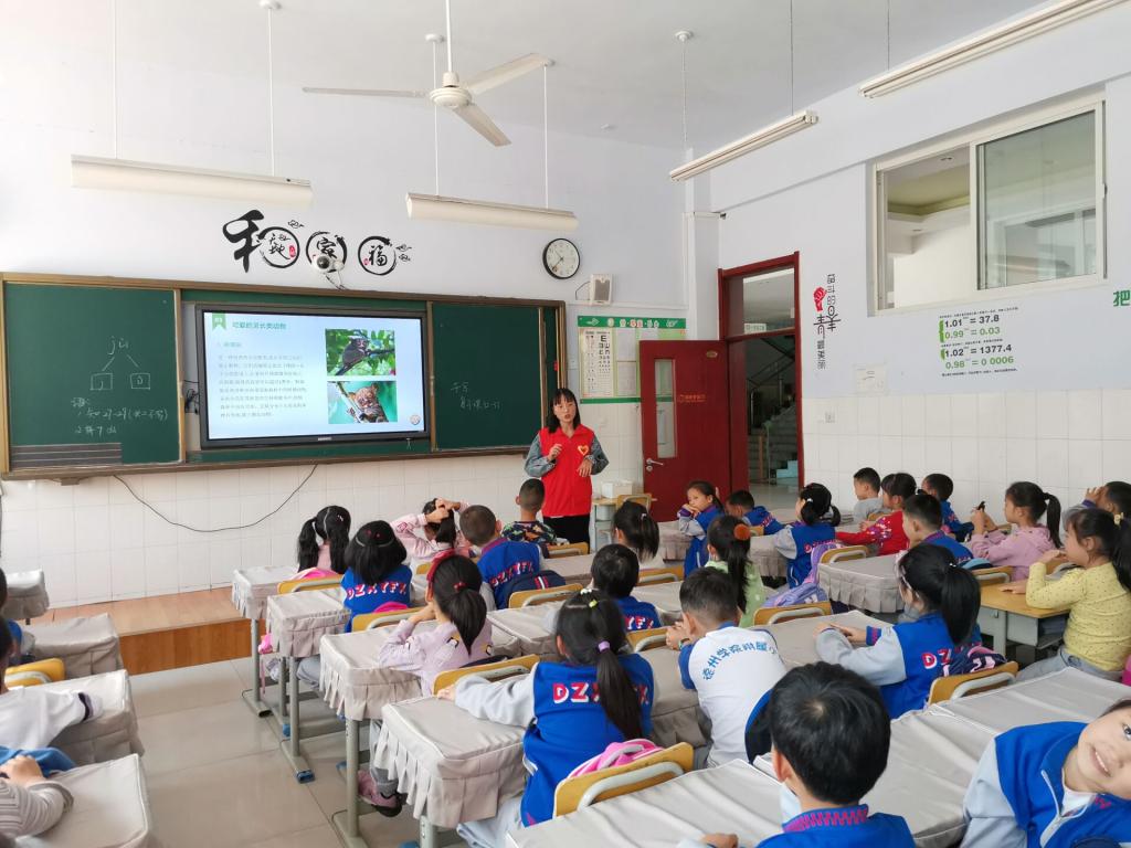 BB电子游戏官网