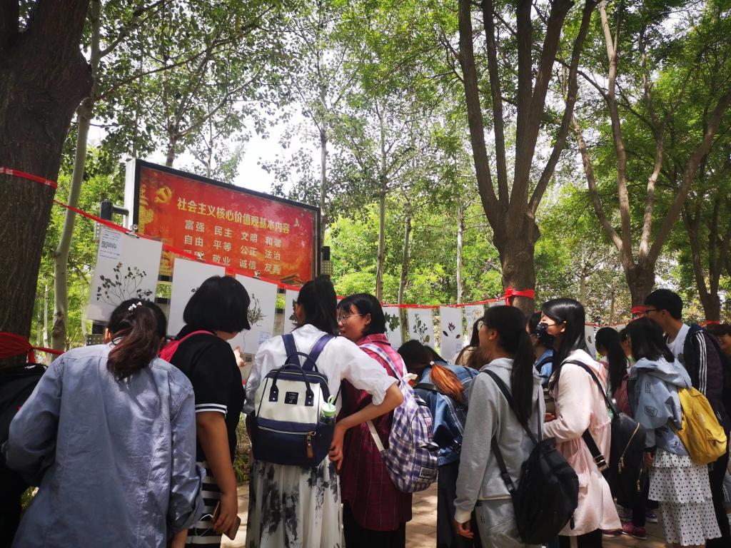 BB电子游戏官网