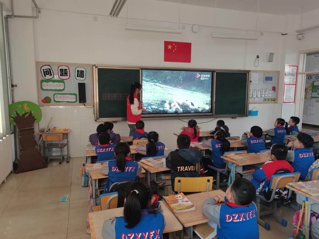 BB电子游戏官网