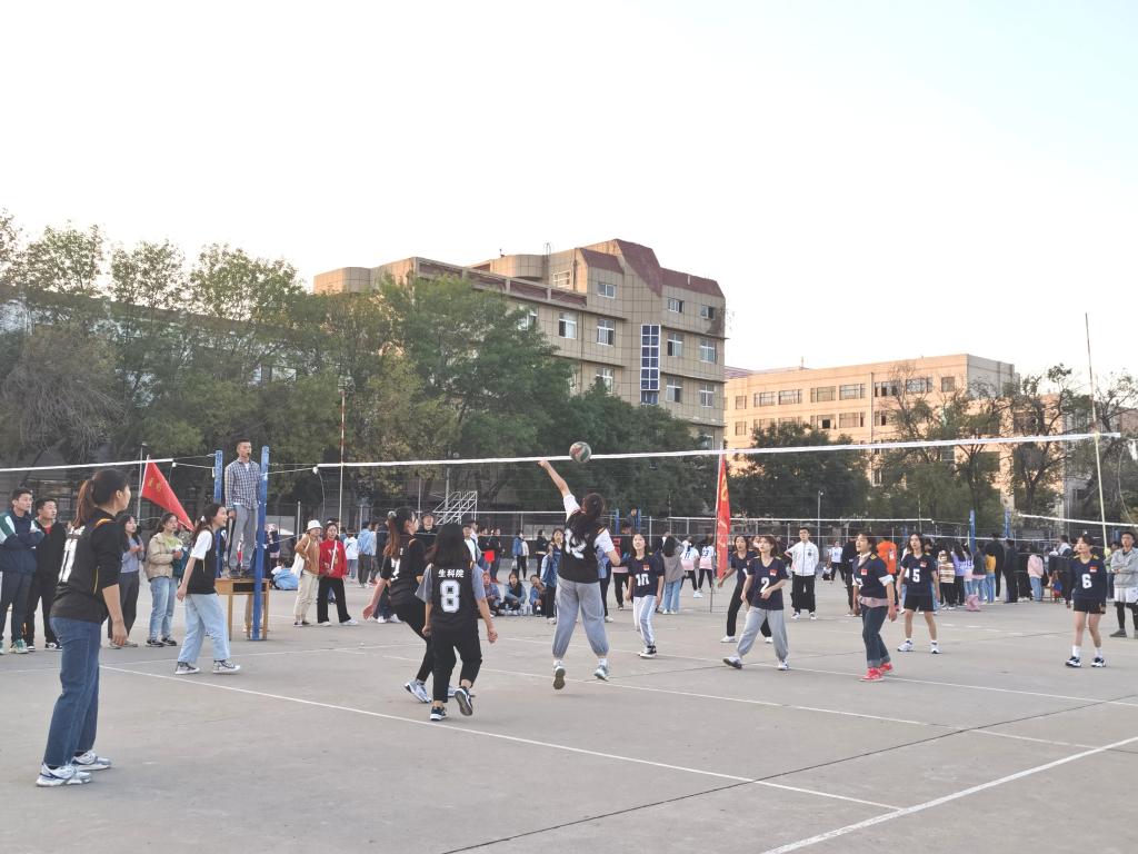 BB电子游戏官网