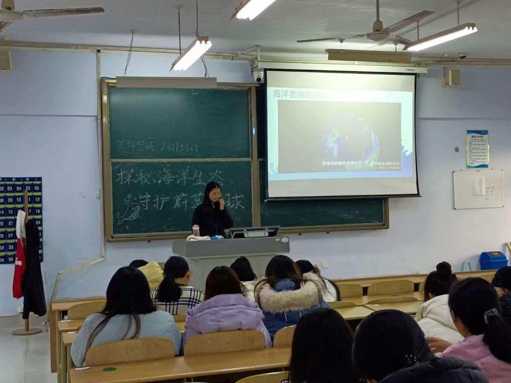 BB电子游戏官网