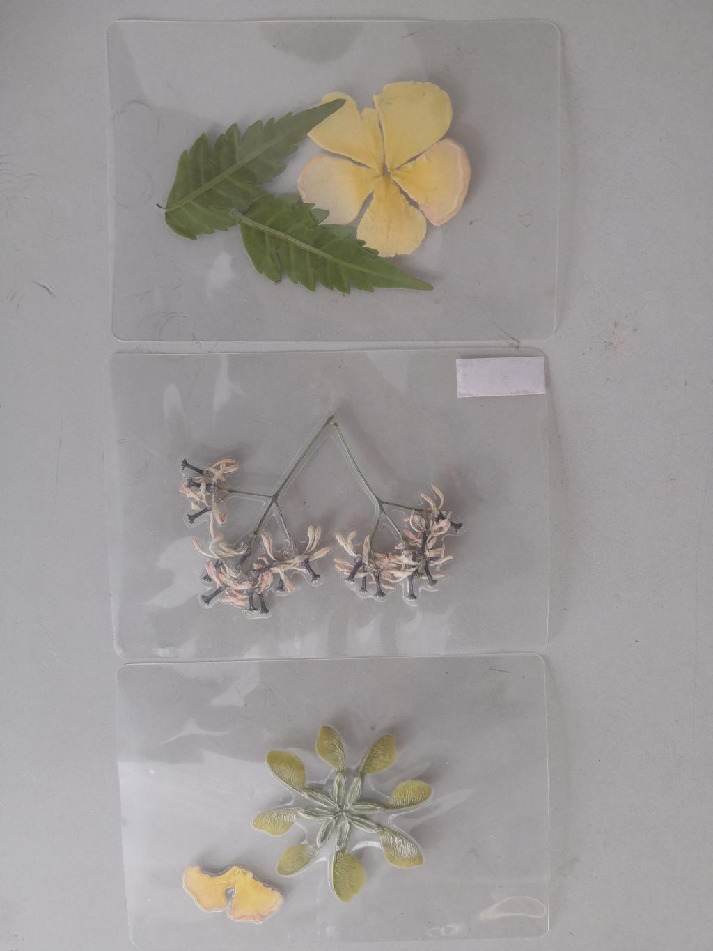 BB电子游戏官网