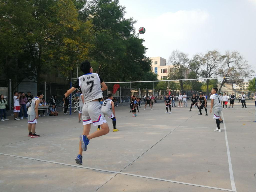 BB电子游戏官网