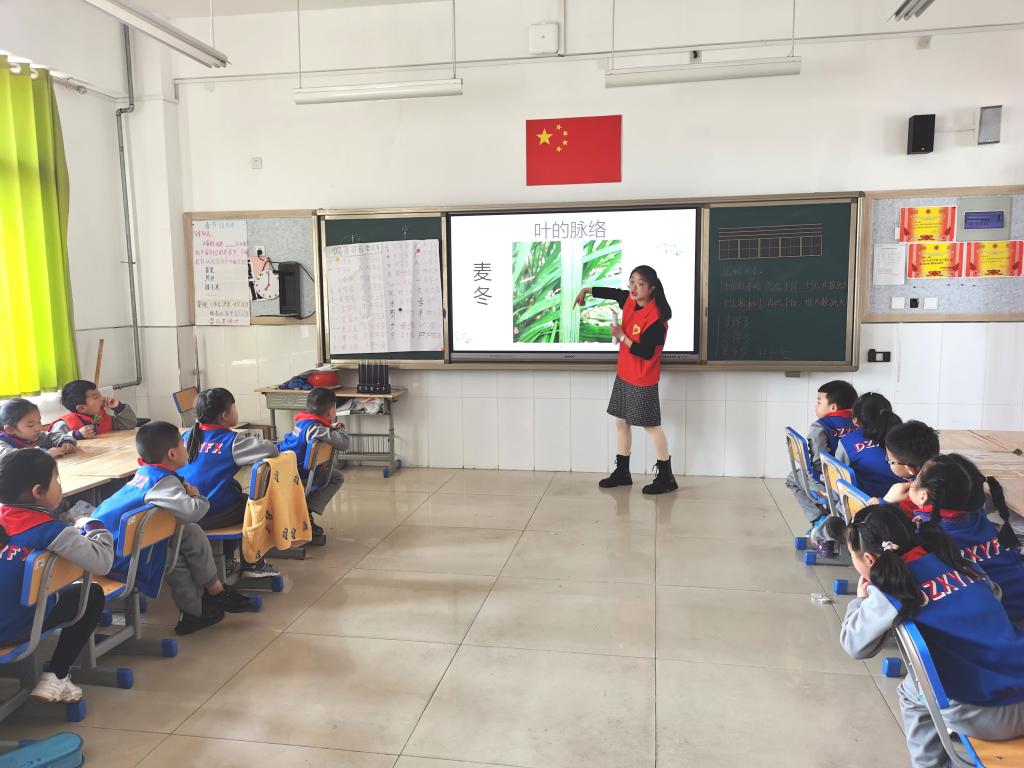 BB电子游戏官网