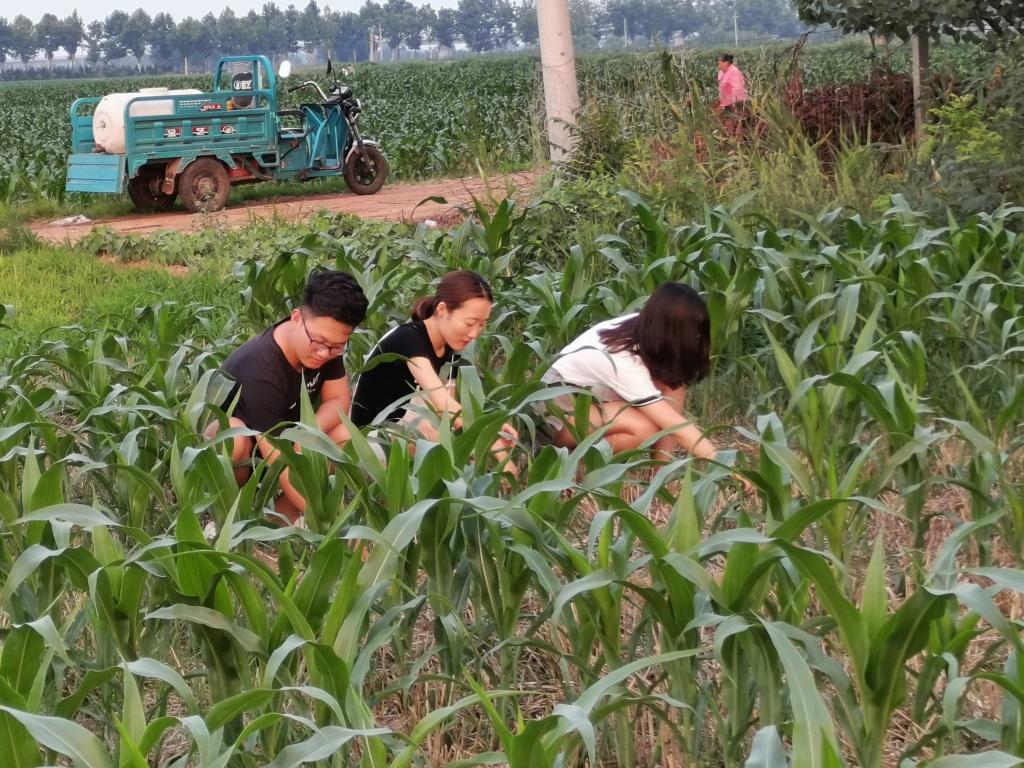 BB电子游戏官网