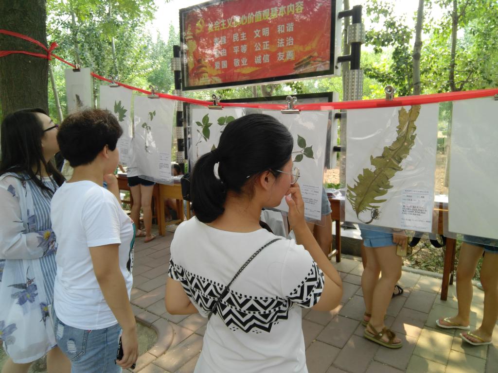 BB电子游戏官网