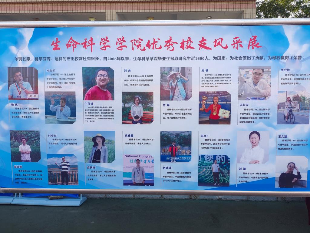 BB电子游戏官网
