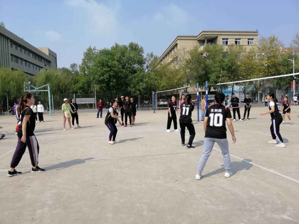 BB电子游戏官网