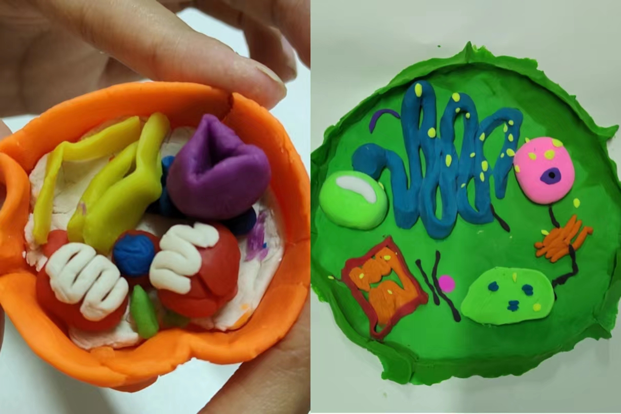 BB电子游戏官网