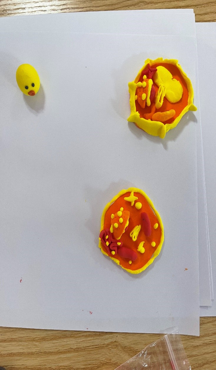 BB电子游戏官网