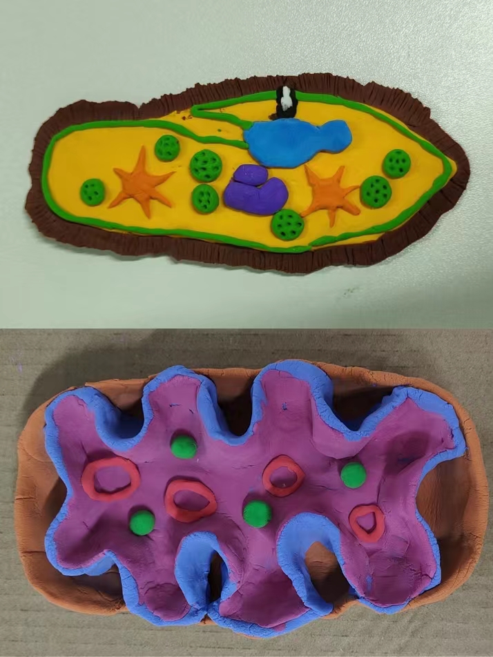 BB电子游戏官网