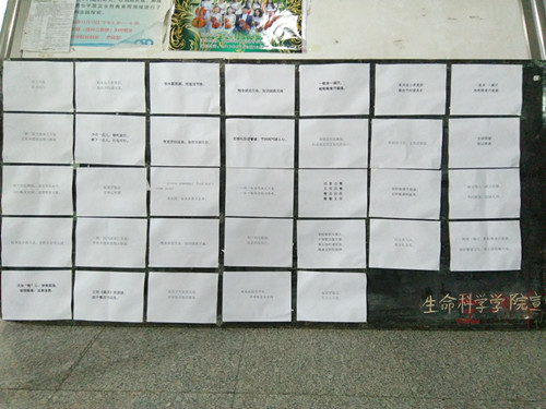 BB电子游戏官网