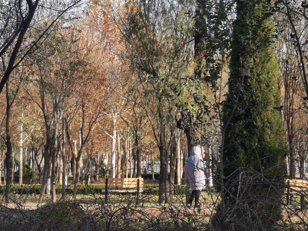 BB电子游戏官网