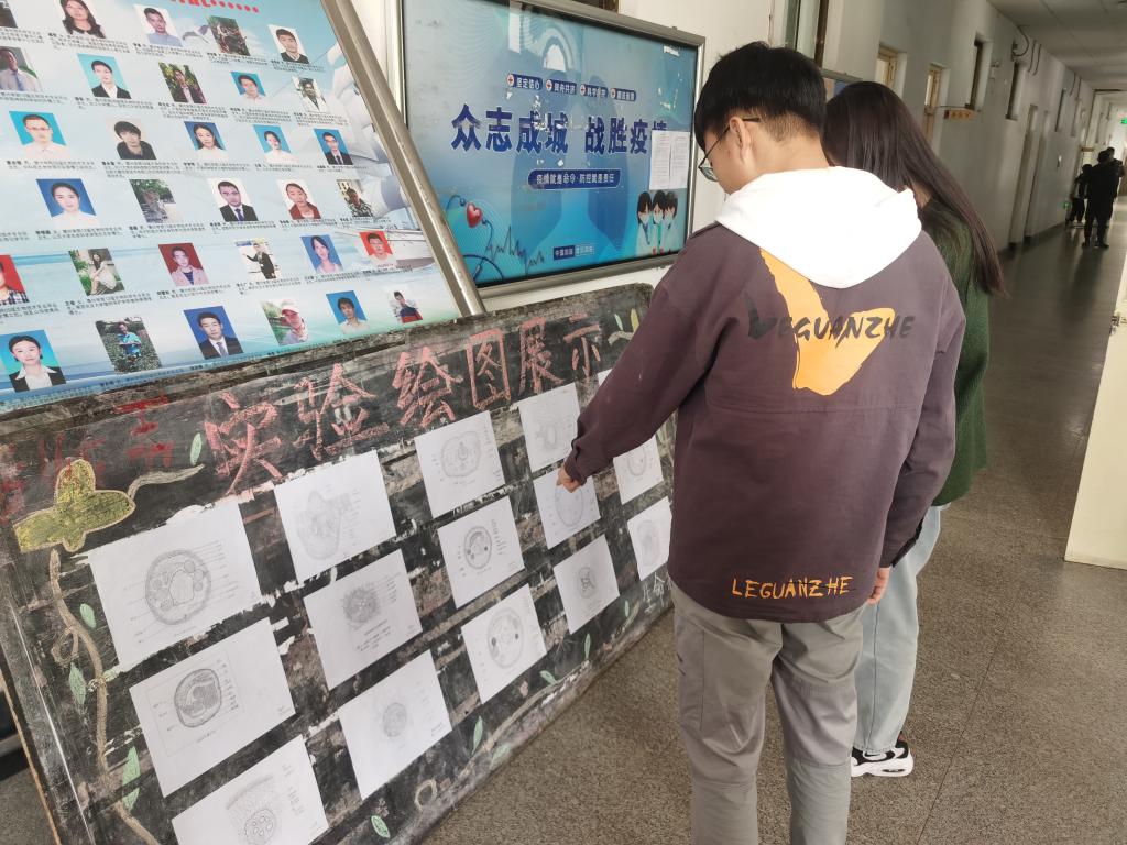 BB电子游戏官网