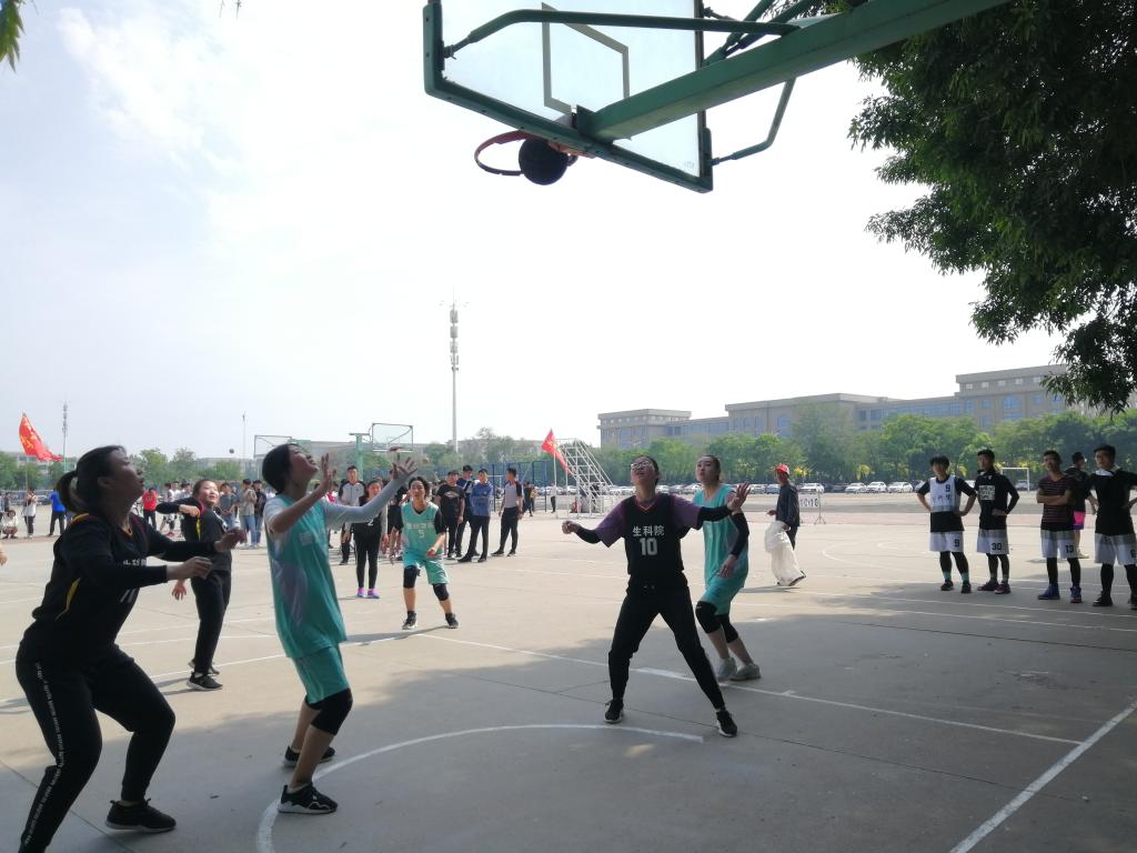 BB电子游戏官网