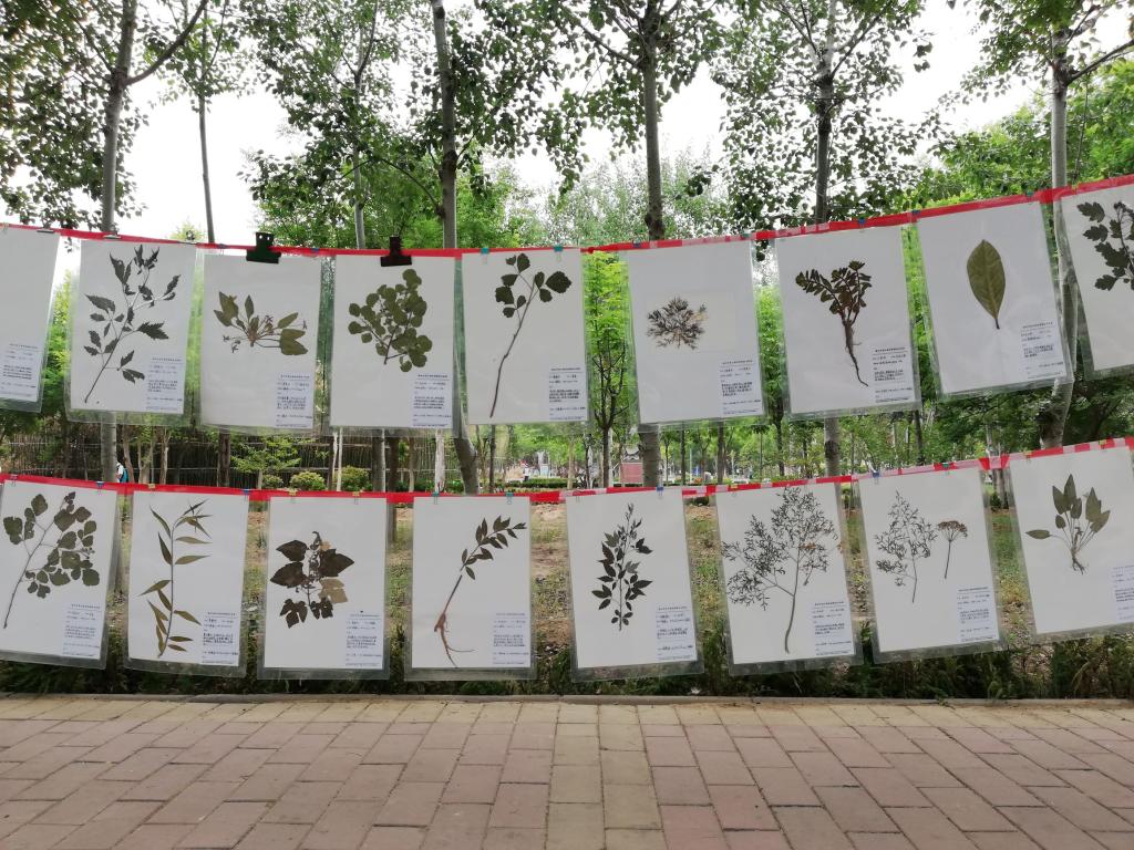 BB电子游戏官网