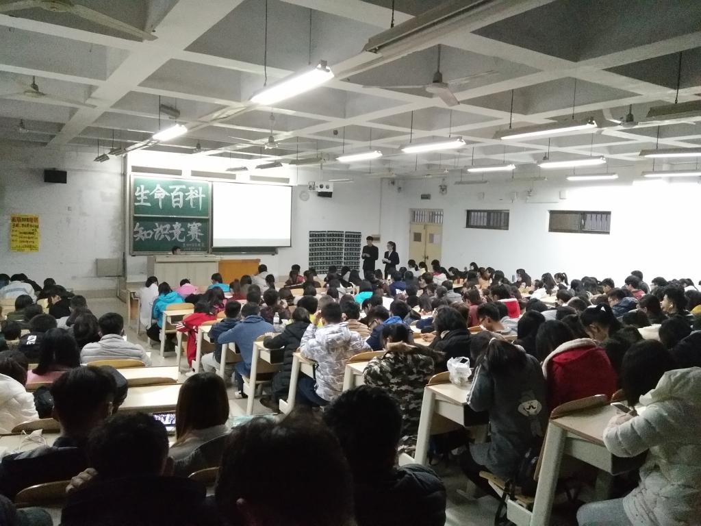 BB电子游戏官网