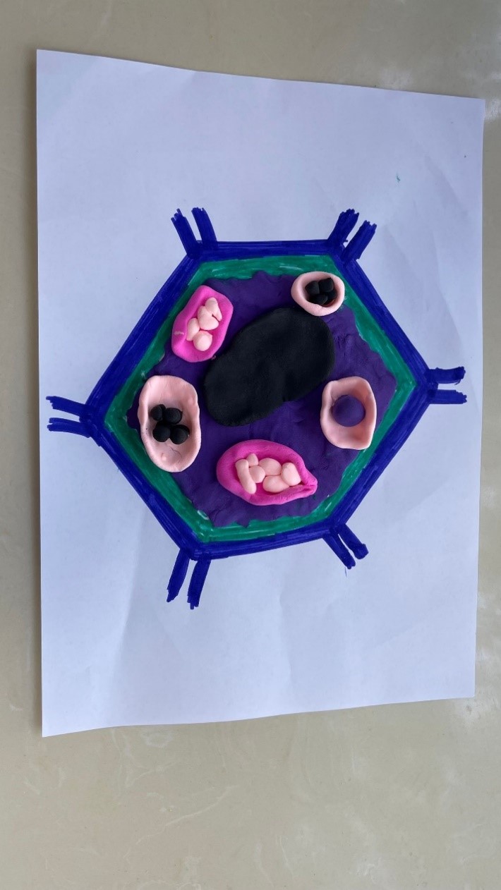 BB电子游戏官网