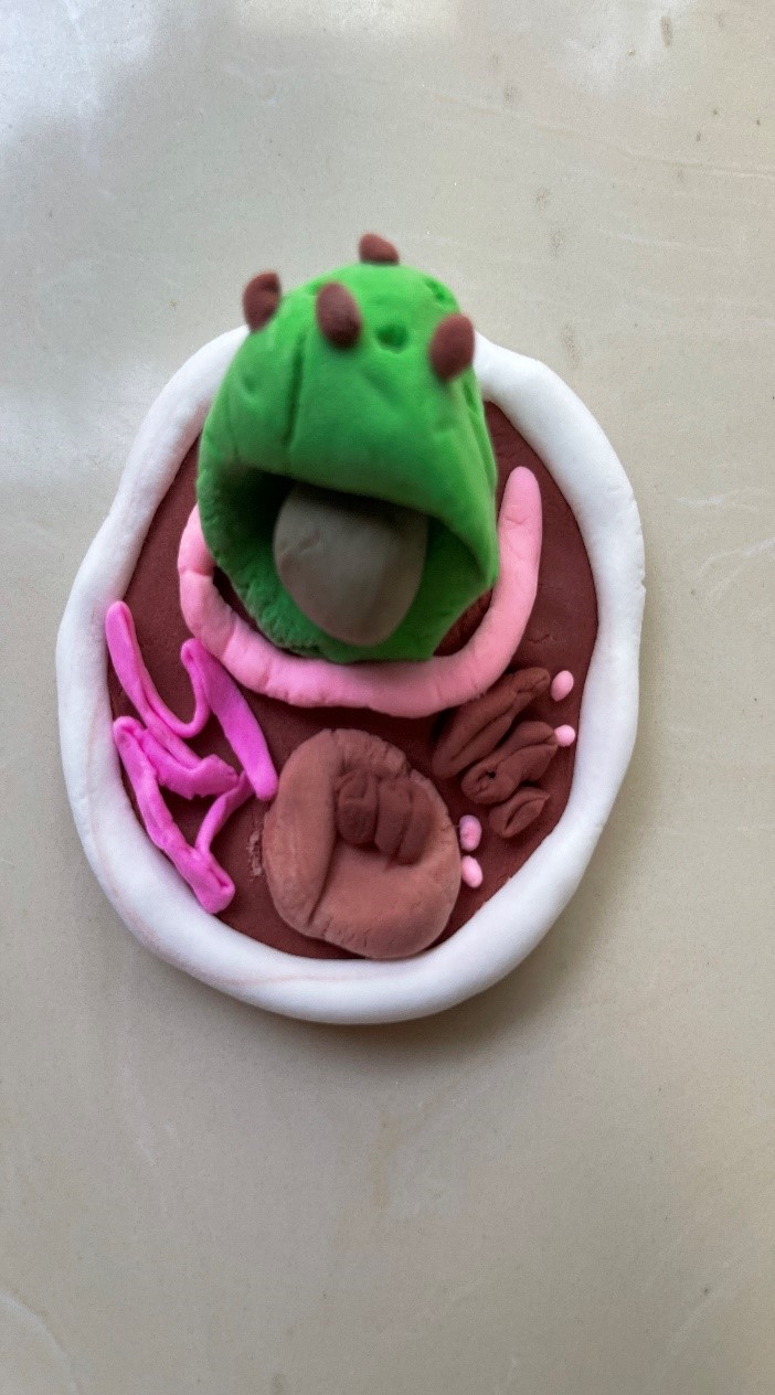 BB电子游戏官网