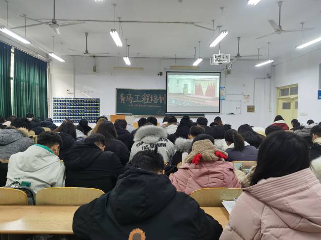 BB电子游戏官网