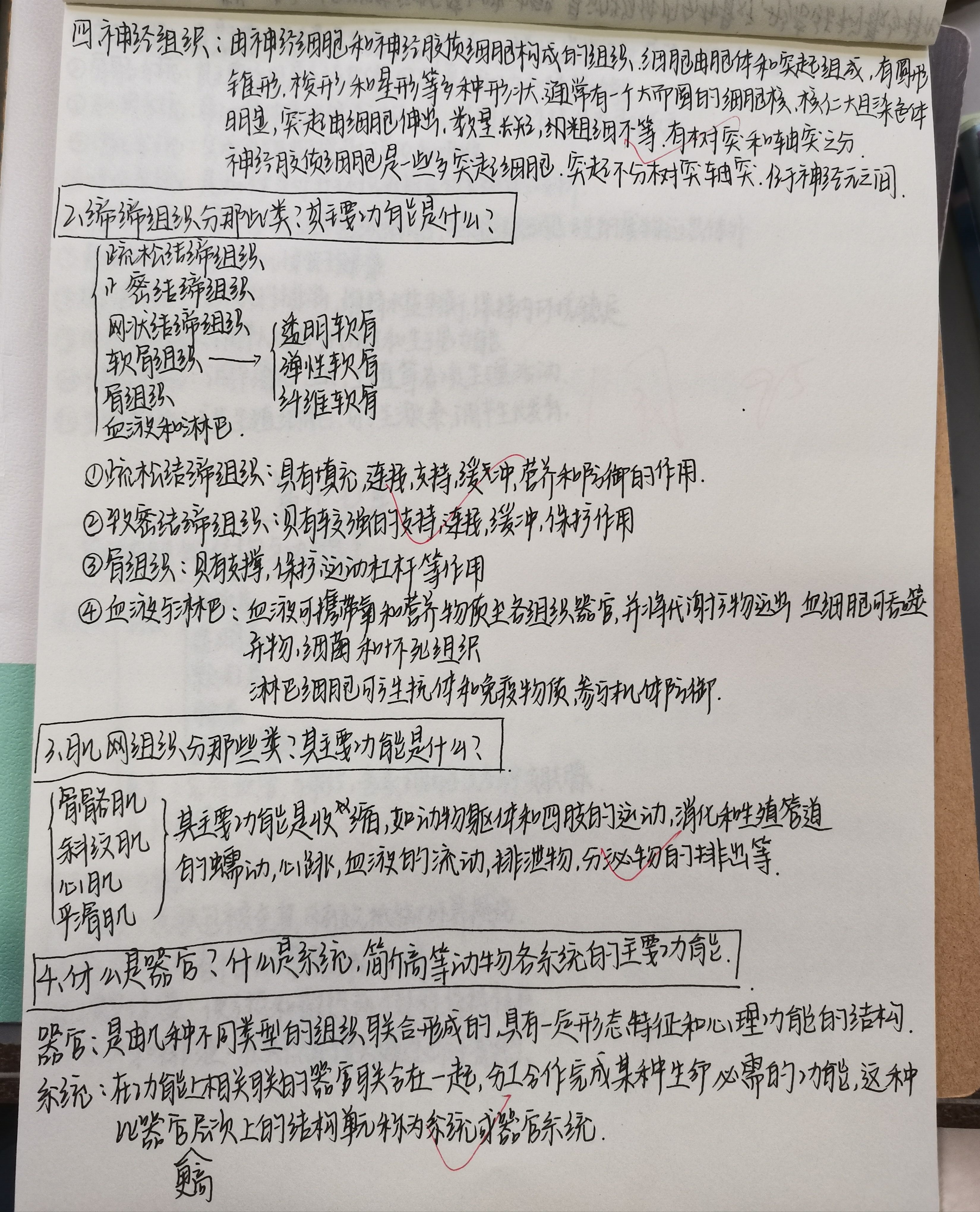 BB电子游戏官网