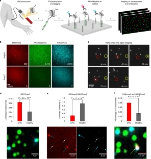 BB电子游戏官网
