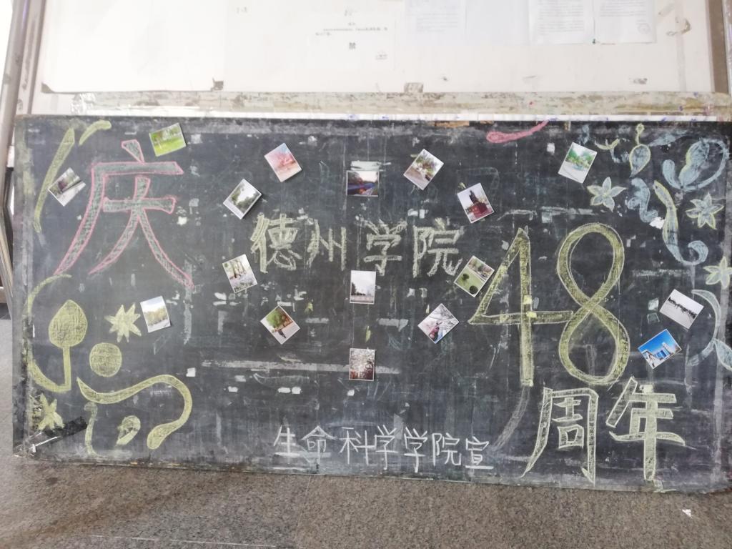 BB电子游戏官网