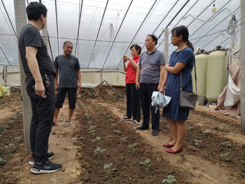 BB电子游戏官网