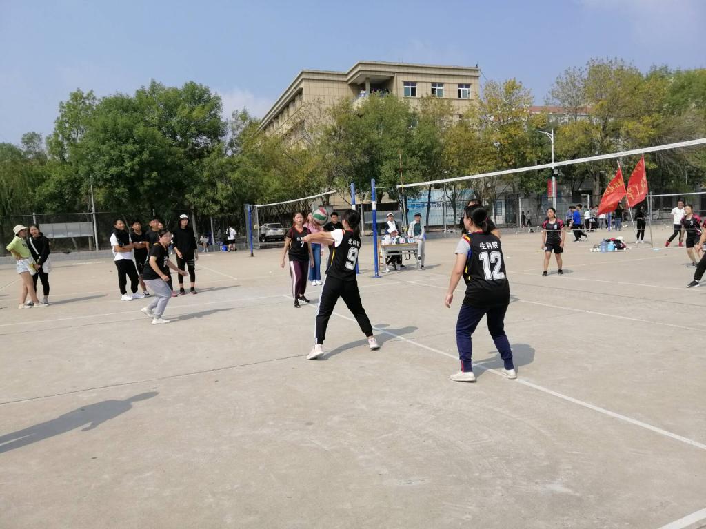 BB电子游戏官网