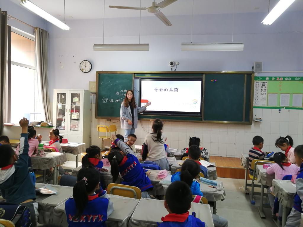 BB电子游戏官网