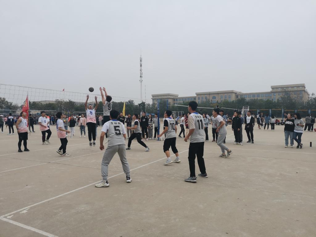 BB电子游戏官网