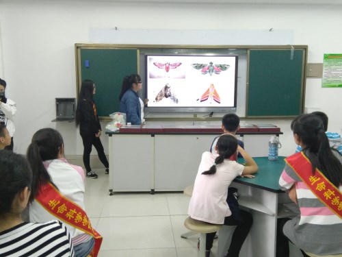 BB电子游戏官网