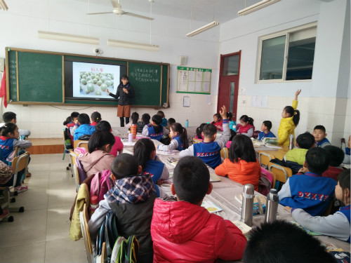 BB电子游戏官网