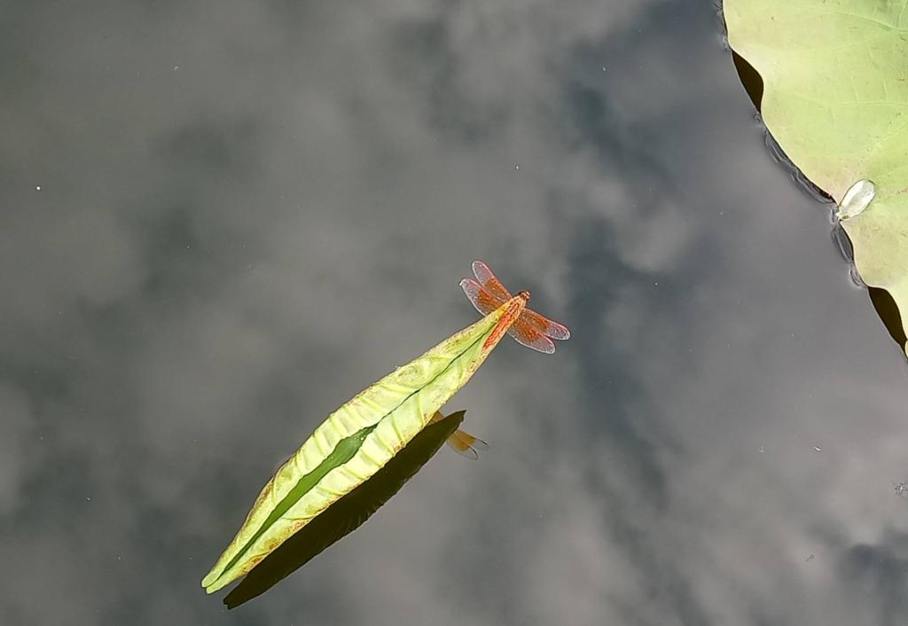 BB电子游戏官网
