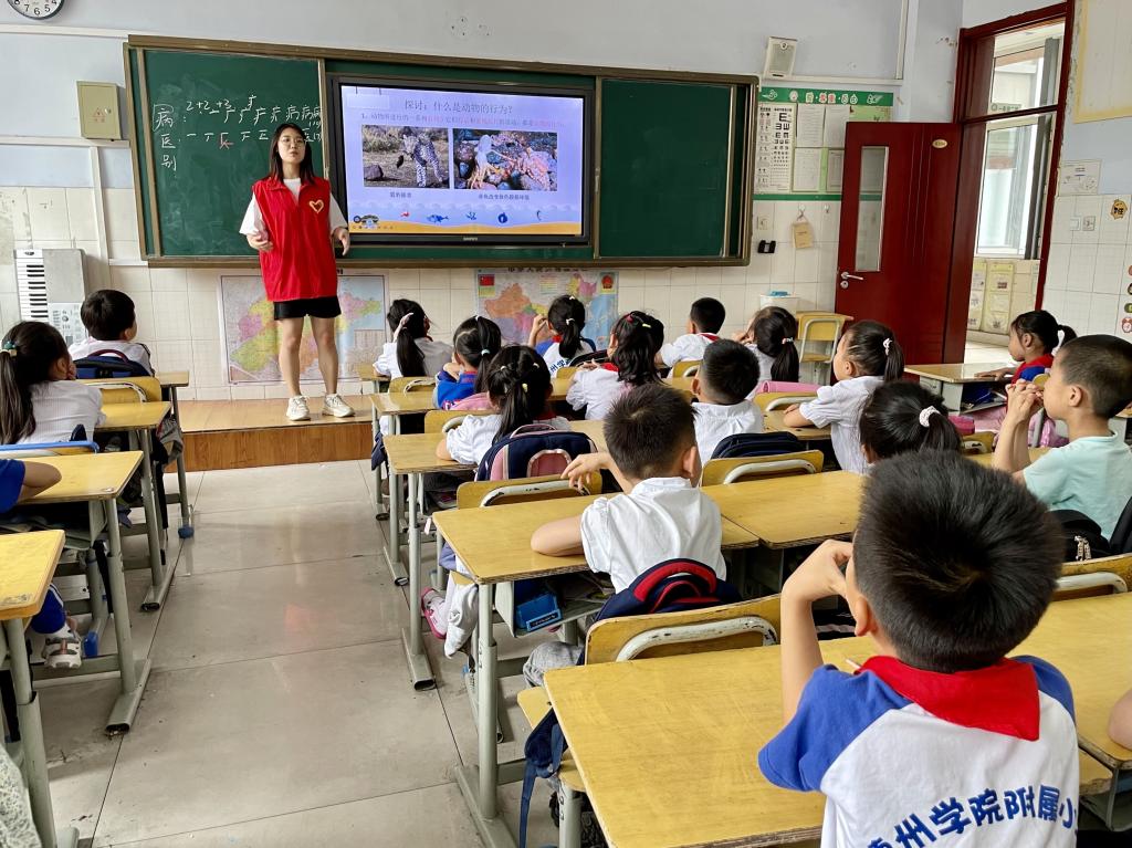 BB电子游戏官网