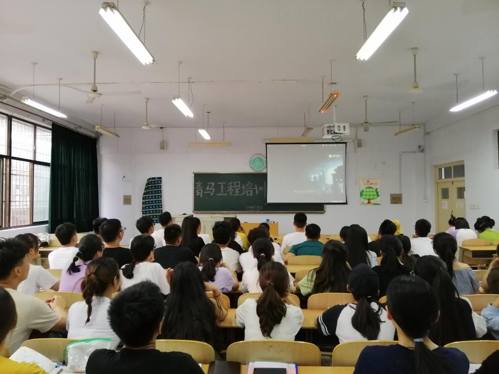 BB电子游戏官网