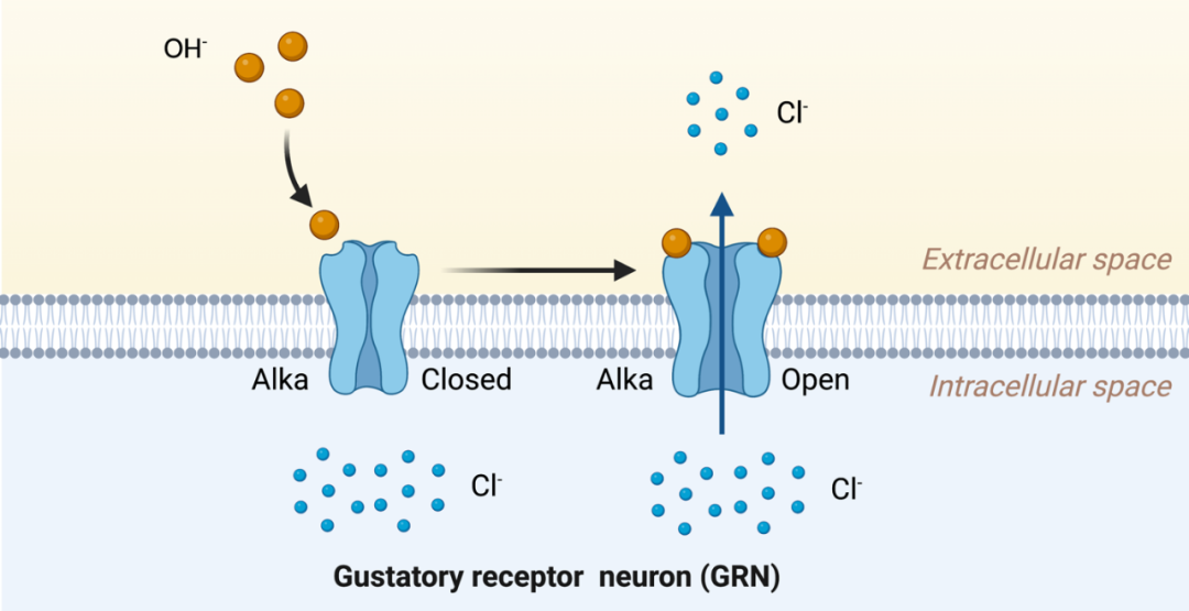 BB电子游戏官网