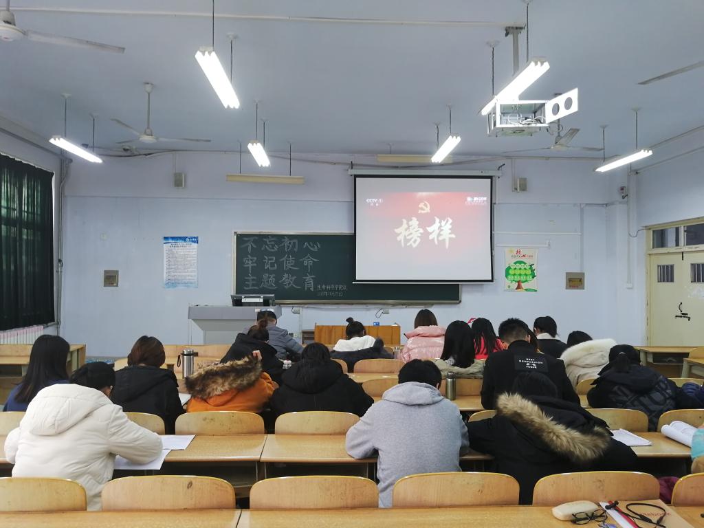 BB电子游戏官网