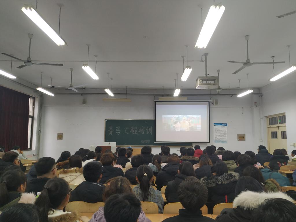 BB电子游戏官网