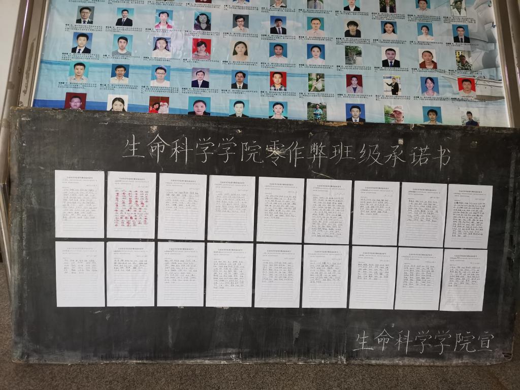 BB电子游戏官网