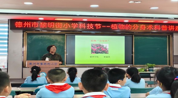 BB电子游戏官网