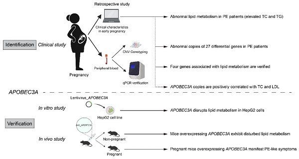 BB电子游戏官网